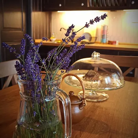 Domus Nö58 Litomyšl