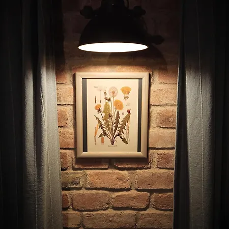 Privatunterkunft Domus Nö58